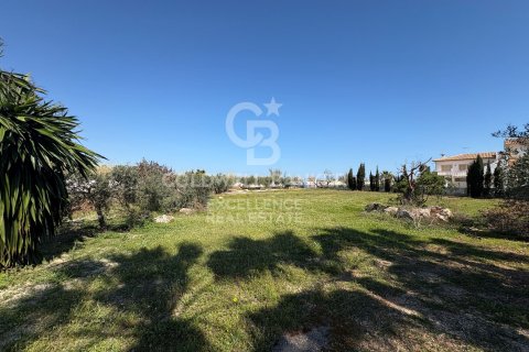 Продажа коммерческой недвижимости в Олива, Валенсия, Испания 5714м2 №178620 - фото 16