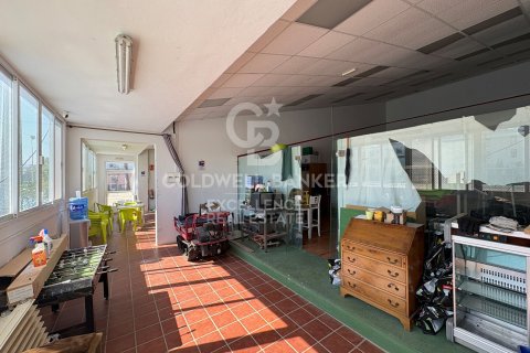 Продажа коммерческой недвижимости в Олива, Валенсия, Испания 5714м2 №178620 - фото 28