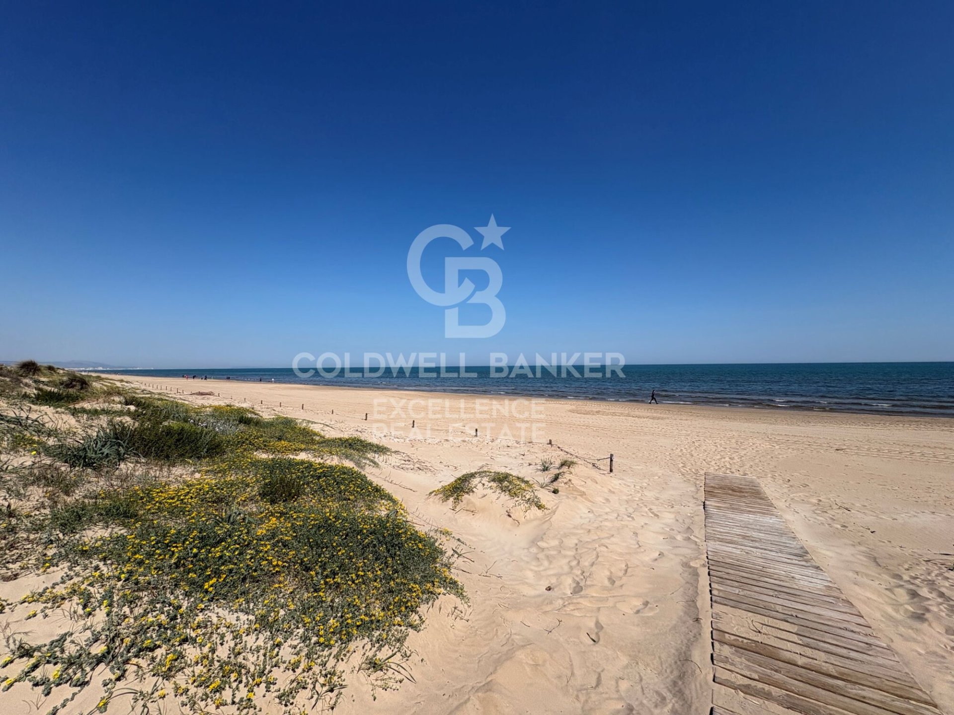 Propiedad comercial en Oliva, València, España 5714 m2 No. 178620