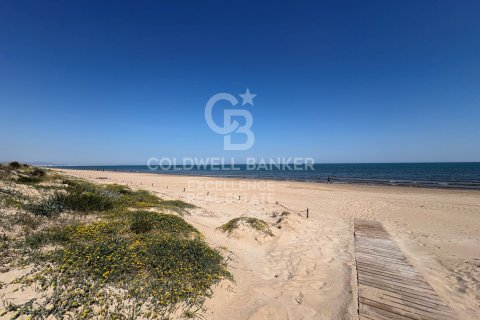 Продажа коммерческой недвижимости в Олива, Валенсия, Испания 5714м2 №178620 - фото 22