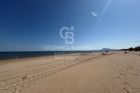 Продажа коммерческой недвижимости в Олива, Валенсия, Испания 5714м2 №178620 - фото 24