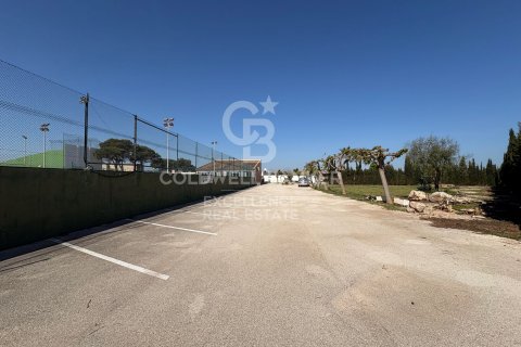 Продажа коммерческой недвижимости в Олива, Валенсия, Испания 5714м2 №178620 - фото 12