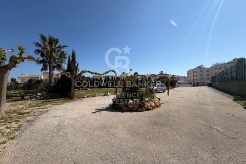 Продажа коммерческой недвижимости в Олива, Валенсия, Испания 5714м2 №178620 - фото 15