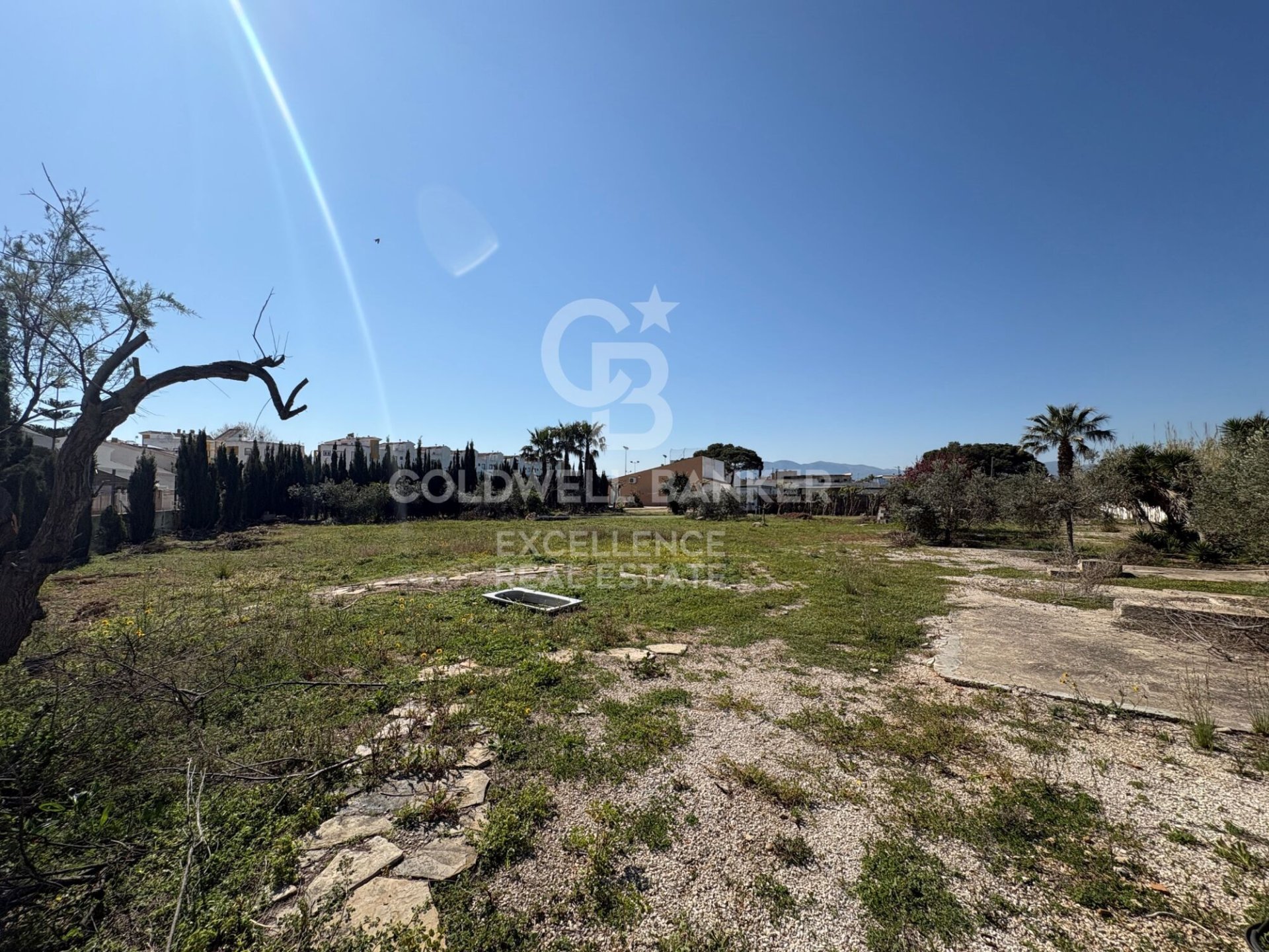 Propiedad comercial en Oliva, València, España 5714 m2 No. 178620