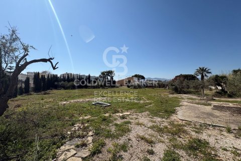 Продажа коммерческой недвижимости в Олива, Валенсия, Испания 5714м2 №178620 - фото 20