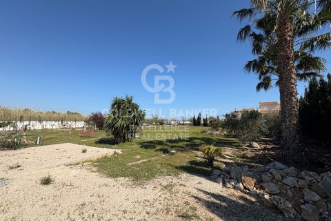 Продажа коммерческой недвижимости в Олива, Валенсия, Испания 5714м2 №178620 - фото 18