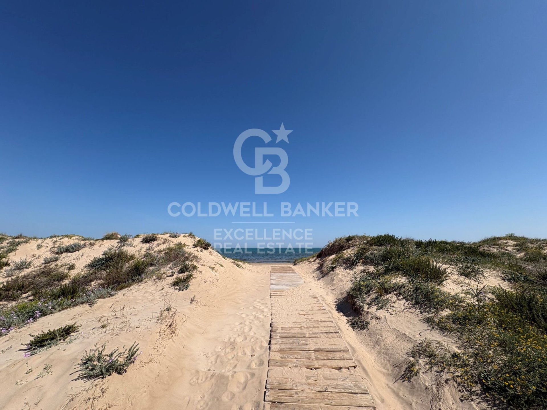 Propiedad comercial en Oliva, València, España 5714 m2 No. 178620