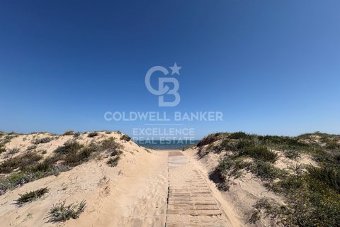 Продажа коммерческой недвижимости в Олива, Валенсия, Испания 5714м2 №178620 - фото 21