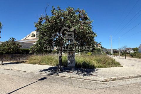 Tontti myytävänä Gandia, Valencia, Espanja , 548 m2 No. 178616 - kuva 7