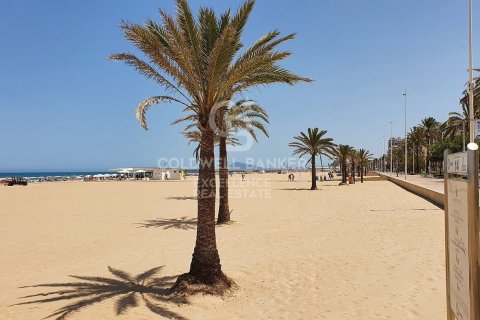 Tontti myytävänä Gandia, Valencia, Espanja , 548 m2 No. 178616 - kuva 20