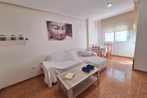 Продажа квартиры в Торревьеха, Аликанте, Испания 3 спальни, 83м2 №184271 - фото 14