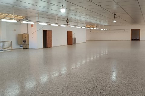 Komerciāls īpašums pārdošanā Albatera, Alicante, Spānijā 1462 m2 Nr. 153114 - attēls 10