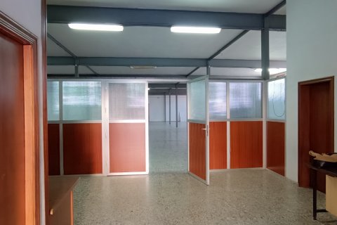 Komerciāls īpašums pārdošanā Albatera, Alicante, Spānijā 1462 m2 Nr. 153114 - attēls 20