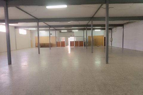 Komerciāls īpašums pārdošanā Albatera, Alicante, Spānijā 1462 m2 Nr. 153114 - attēls 18