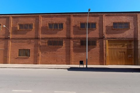 Komerciāls īpašums pārdošanā Albatera, Alicante, Spānijā 1462 m2 Nr. 153114 - attēls 3