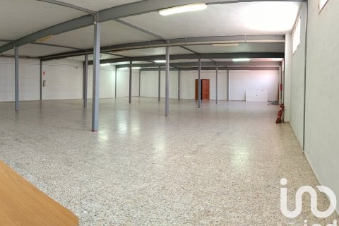 Komerciāls īpašums pārdošanā Albatera, Alicante, Spānijā 1462 m2 Nr. 153114 - attēls 29