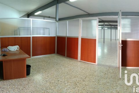 Komerciāls īpašums pārdošanā Albatera, Alicante, Spānijā 1462 m2 Nr. 153114 - attēls 21