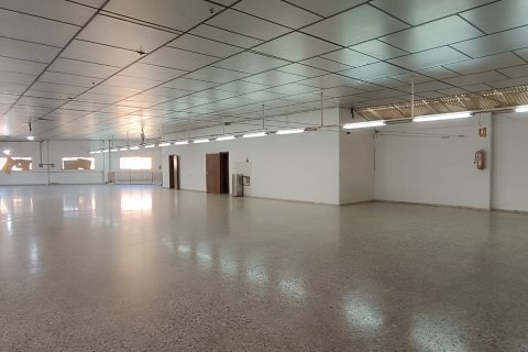 Komerciāls īpašums pārdošanā Albatera, Alicante, Spānijā 1462 m2 Nr. 153114 - attēls 11