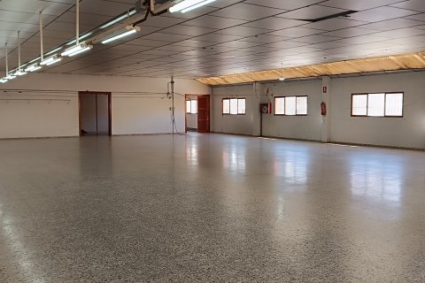 Komerciāls īpašums pārdošanā Albatera, Alicante, Spānijā 1462 m2 Nr. 153114 - attēls 9