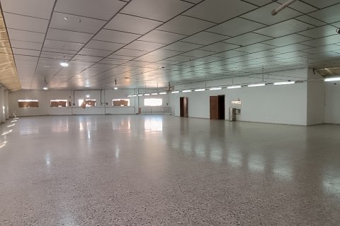 Komerciāls īpašums pārdošanā Albatera, Alicante, Spānijā 1462 m2 Nr. 153114 - attēls 14