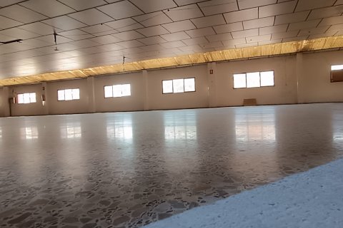 Komerciāls īpašums pārdošanā Albatera, Alicante, Spānijā 1462 m2 Nr. 153114 - attēls 6