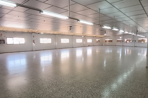 Komerciāls īpašums pārdošanā Albatera, Alicante, Spānijā 1462 m2 Nr. 153114 - attēls 4