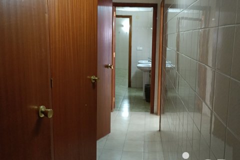 Komerciāls īpašums pārdošanā Albatera, Alicante, Spānijā 1462 m2 Nr. 153114 - attēls 28