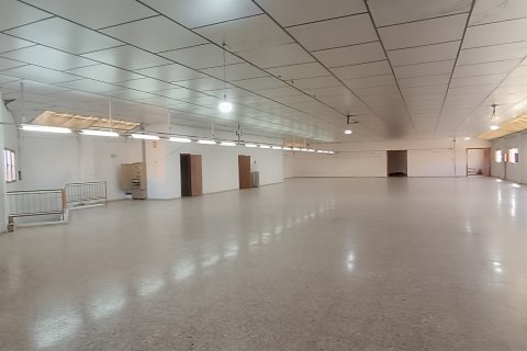 Komerciāls īpašums pārdošanā Albatera, Alicante, Spānijā 1462 m2 Nr. 153114 - attēls 5