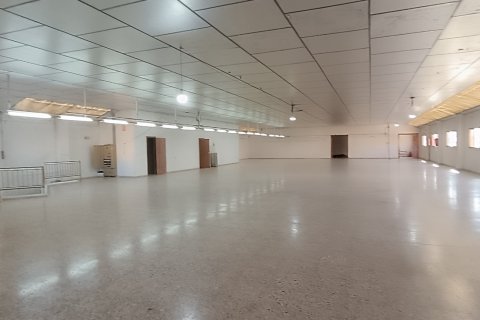 Komerciāls īpašums pārdošanā Albatera, Alicante, Spānijā 1462 m2 Nr. 153114 - attēls 15