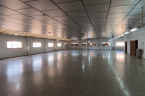 Komerciāls īpašums pārdošanā Albatera, Alicante, Spānijā 1462 m2 Nr. 153114 - attēls 16