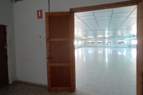 Komerciāls īpašums pārdošanā Albatera, Alicante, Spānijā 1462 m2 Nr. 153114 - attēls 25