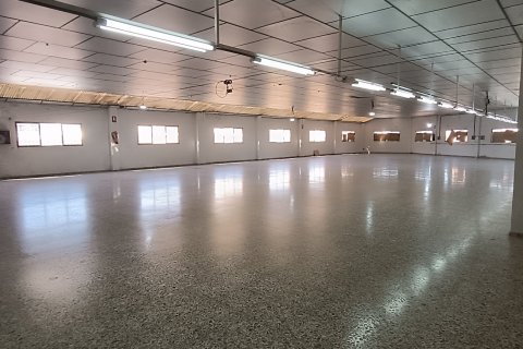 Komerciāls īpašums pārdošanā Albatera, Alicante, Spānijā 1462 m2 Nr. 153114 - attēls 13