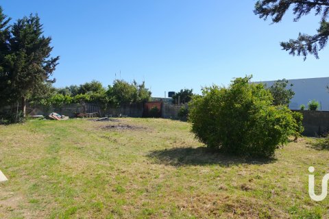 Tontti myytävänä Tarifa, Cadiz, Espanja , 1250 m2 No. 153111 - kuva 15