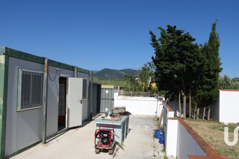 Tontti myytävänä Tarifa, Cadiz, Espanja , 1250 m2 No. 153111 - kuva 5