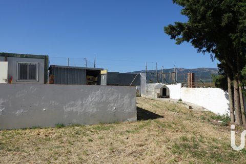 Tontti myytävänä Tarifa, Cadiz, Espanja , 1250 m2 No. 153111 - kuva 6
