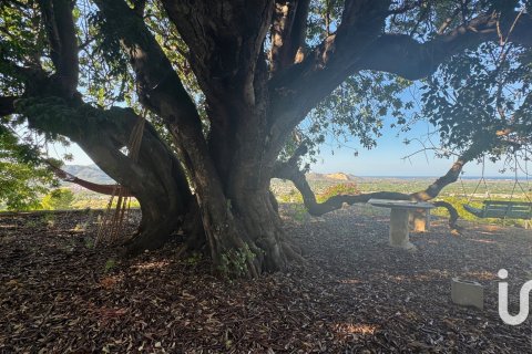 Продажа дома в Пего, Аликанте, Испания 2 спальни, 71м2 №153109 - фото 26