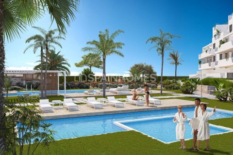 Продажа пентхауса Торре-Пачеко, Мурсия, Испания 2 спальни, 67м2 №139640 - фото 3