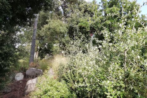 Terreno in vendita a Dosrius, Barcelona, Spagna N° 191606 - foto 19
