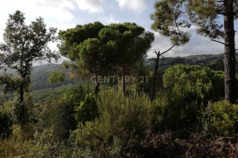 Terreno in vendita a Dosrius, Barcelona, Spagna N° 191606 - foto 14