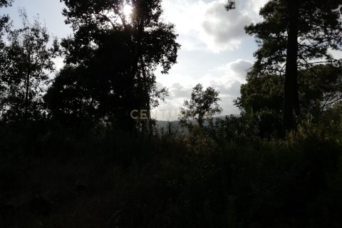 Terreno in vendita a Dosrius, Barcelona, Spagna N° 191606 - foto 6