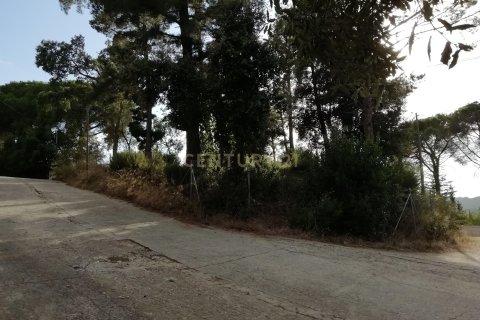 Terreno in vendita a Dosrius, Barcelona, Spagna N° 191606 - foto 9