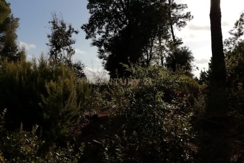 Terreno in vendita a Dosrius, Barcelona, Spagna N° 191606 - foto 5