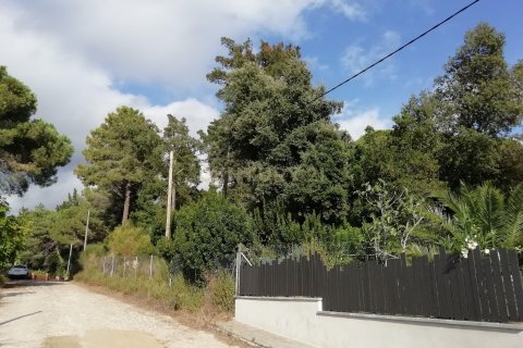 Terreno in vendita a Dosrius, Barcelona, Spagna N° 191606 - foto 17