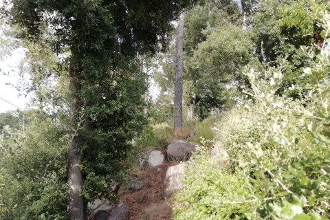 Terreno in vendita a Dosrius, Barcelona, Spagna N° 191606 - foto 1