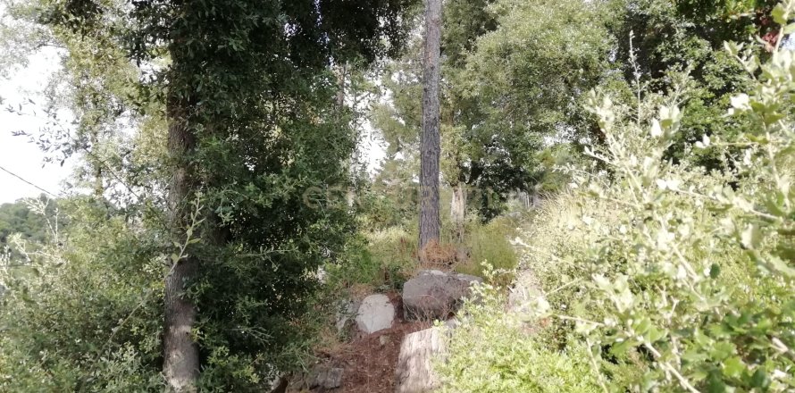 Terreno a Dosrius, Barcelona, Spagna N° 191606