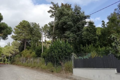 Terreno in vendita a Dosrius, Barcelona, Spagna N° 191606 - foto 13