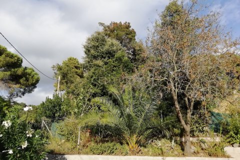 Terreno in vendita a Dosrius, Barcelona, Spagna N° 191606 - foto 10