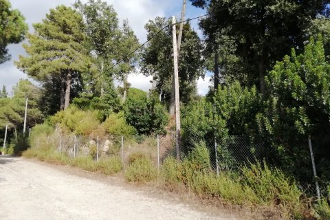 Terreno in vendita a Dosrius, Barcelona, Spagna N° 191606 - foto 11