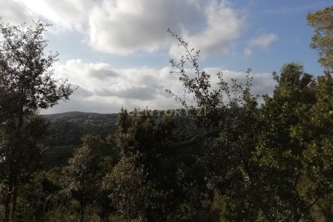 Terreno in vendita a Dosrius, Barcelona, Spagna N° 191606 - foto 7