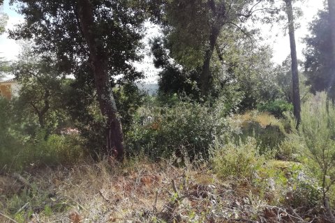 Terreno in vendita a Dosrius, Barcelona, Spagna N° 191606 - foto 2